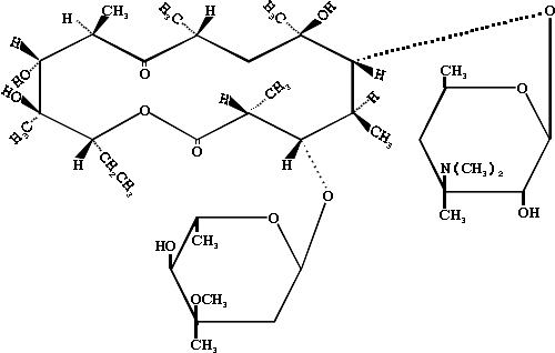 Erythromycin.JPG (38263 bytes)